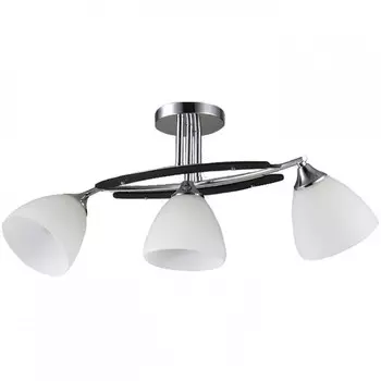 Потолочная люстра WINKRUS A1703/3