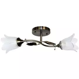 Потолочная люстра Wink K1579/2