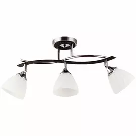 Потолочная люстра Wink N0752/3