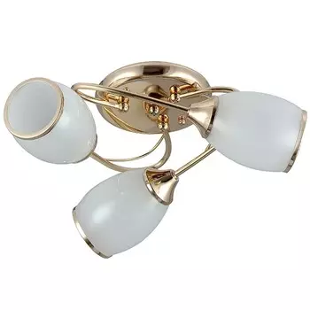 Потолочная люстра WINKRUS N1014/3