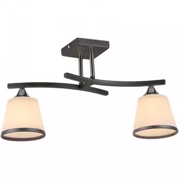 Потолочная люстра WINKRUS N2467/2