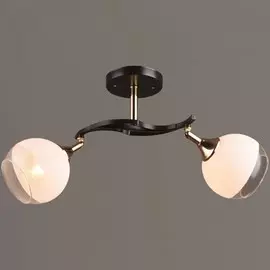 Потолочная люстра Wink N3664/2