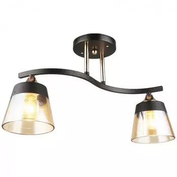 Потолочная люстра WINKRUS N3772/2