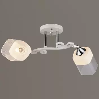 Потолочная люстра WINKRUS N3846/2