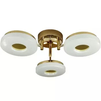 Потолочная светодиодная диммируемая люстра с пультом д/у Wink MC004/3