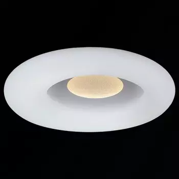 Потолочная светодиодная диммируемая люстра с пультом ДУ Reluce 09050 1414641