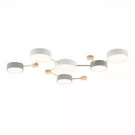 Потолочная светодиодная люстра Evoluce Dossena SLE600102-06