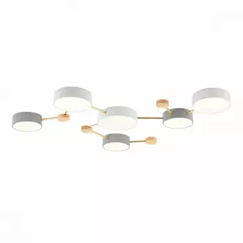 Потолочная светодиодная люстра Evoluce Dossena SLE600102-06