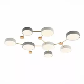 Потолочная светодиодная люстра Evoluce Dossena SLE600102-08