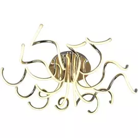 Потолочная светодиодная люстра с пультом д/у Wink YT205/12