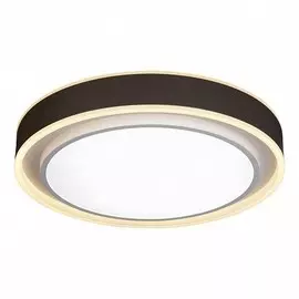 Потолочная светодиодная люстра с пультом ДУ iLedex Summery B6233-91W/520 Белый