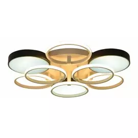 Потолочная светодиодная люстра с пультом и диммером Escada 10244/9LED