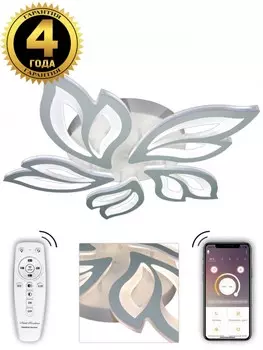 Потолочная светодиодная люстра с пультом Natali Kovaltseva HIGH-TECH LED LAMPS 82006