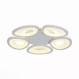 Потолочная светодиодная люстра ST Luce SL929.502.05