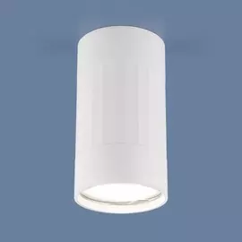 Потолочный накладной светильник Elektrostandard DLN111 GU10 белый (a047754)