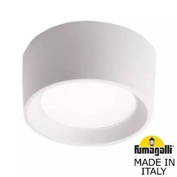 Потолочный накладной светильник Fumagalli Livia 160 3A9.000.000.WXD1L