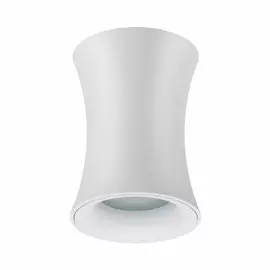Потолочный накладной светильник Odeon Light Zetta 4271/1C