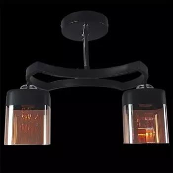 Потолочный светильник 05506 1420403