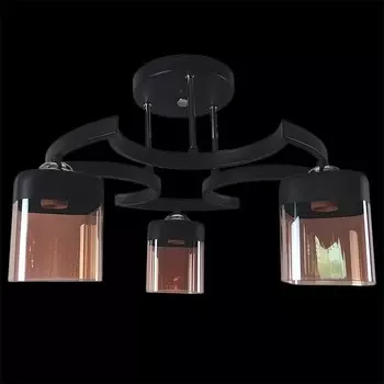 Потолочный светильник 05506 1420405