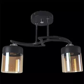 Потолочный светильник 05507 1420407