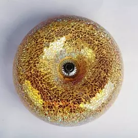 Потолочный светильник Abrasax MD50001-25PI