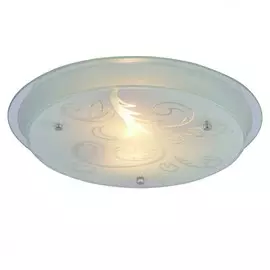 Потолочный светильник Arte Lamp A4865Pl-2CC