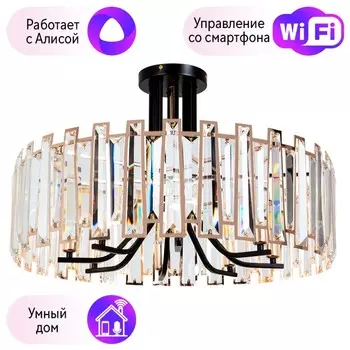Потолочный светильник Arte Lamp Amber с поддержкой Алиса A1028PL-8BK-A