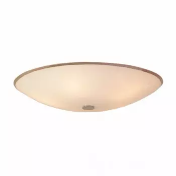 Потолочный светильник Citilux Хром Лайн CL911502