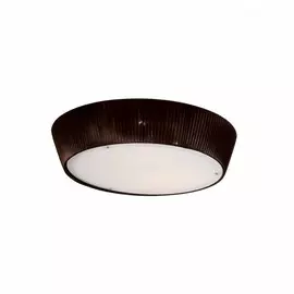 Потолочный светильник Citilux Коричневая CL913142