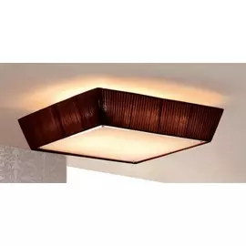 Потолочный светильник Citilux Коричневая CL914142