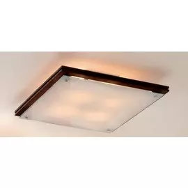 Потолочный светильник Citilux Венге Белый CL938541