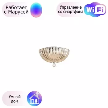 Потолочный светильник Divinare Lianto с поддержкой Маруся 4011/02 PL-3-М