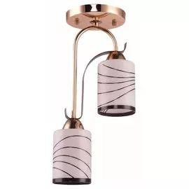 Потолочный светильник Escada 192/2S