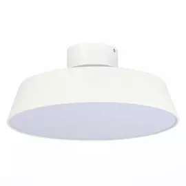 Потолочный светильник Evoluce Vigo SLE600252-01