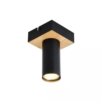 Потолочный светильник F-Promo Olson 4431-1C