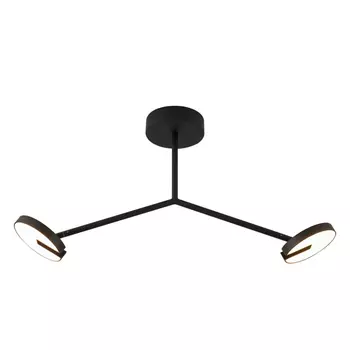 Потолочный светильник Favourite Paritet 4401-2C