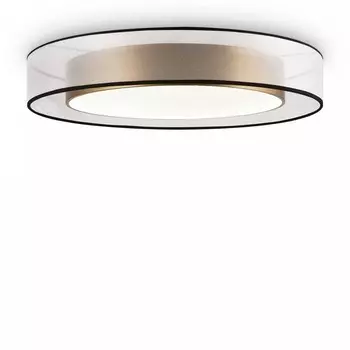 Потолочный светильник с пультом ДУ Freya Zoticus FR6005CL-L48G