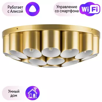 Потолочный светильник Lightstar с поддержкой Алисы, Siena 720222