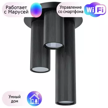 Потолочный светильник Lightstar с поддержкой Маруся Roma 718037