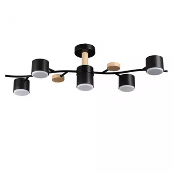 Потолочный светильник Lumion Crypto Comfi 8194/5C