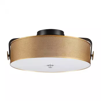 Потолочный светильник Lumion LEDIO Drum 6597/40L