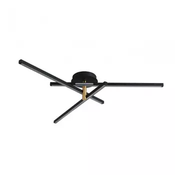 Потолочный светильник Lumion Ledio Parker 6547/56CL