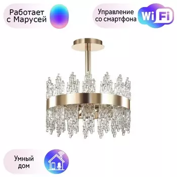 Потолочный светильник Lumion Margot с поддержкой Маруся 5267/4C-М