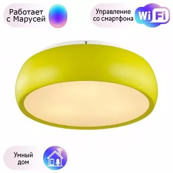 Потолочный светильник Lumion Timo с поддержкой Маруся 4412/3C-М