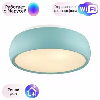 Потолочный светильник Lumion Timo с поддержкой Маруся 4415/3C-М