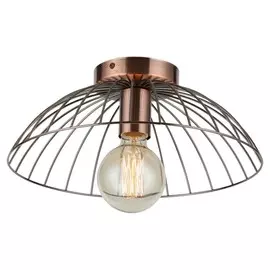 Потолочный светильник Lussole Loft Brooks GRLSP-8249