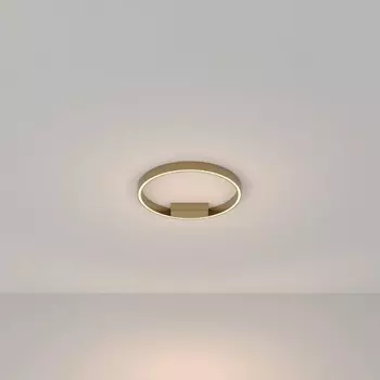 Потолочный светильник Maytoni Rim MOD058CL-L25BS3K