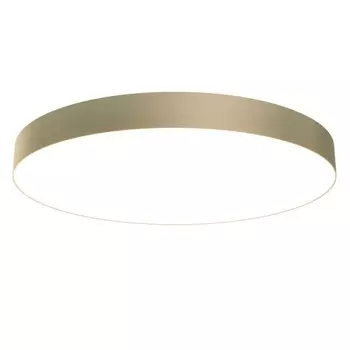 Потолочный светильник Maytoni Zon C032CL-L96MG4K