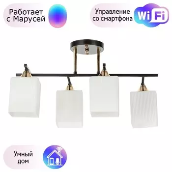 Потолочный светильник Merope Arte lamp с поддержкой Маруся A4071PL-4BK-М