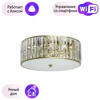 Потолочный светильник MW-Light Монарх с поддержкой Алиса 121010205-A